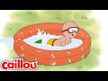 Day in the swimming pool Caillou - WildBrain Learning for Children