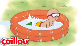 Day in the swimming pool Caillou - WildBrain Learning for Children