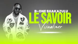 b one shakazulu le savoir visualizer 