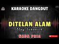 Download Lagu DITELAN ALAM - Elvy Sukaesih || KARAOKE NADA PRIA