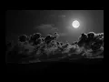 Tigerskin - Miles High [Original Mix]