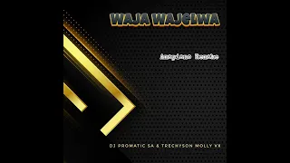 dj promatic sa u0026 trechyson molly vx waja wajelwa amapiano remake 