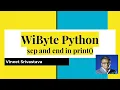3 Fun with print Python Programming sep and end in print