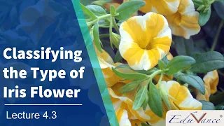 AI Course Session 4 Lecture 3 - Classifying the Type of Iris flower