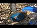 Ford 309 2 Row Planter