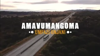 amavumangoma umfazonjani official music video 