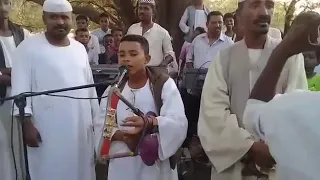 عمر ودريره 3 