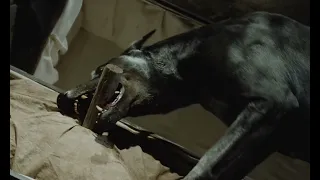 دانلود فیلم زولتان سگ دراکولا دانلود فیلم ذولتان سگ دراکولا ZOLTAN Hound Of Dracula 1978 دانلود فیلم 