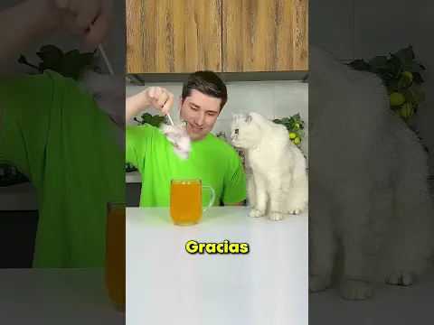 ¡Creía Que Era Jugo… Pero Era del Gato! 😹✅