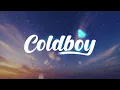 Sting - Shape of My Heart (Lyrics)