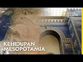 Download Lagu Dari Masyarakat Hingga Raja dan Dewa Mesopotamia, Bagaimana Kehidupan di Mesopotamia Kuno?