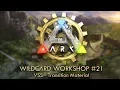 Wildcard Workshop VSS - Transition Material