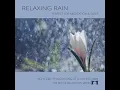 Soothing Rain