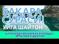 Download Lagu БАҚАРА СУРАСИ! УЙГА ШАЙТОН КИРМАЙДИ ВА БАРАКА ЁГИЛАДИ | ЭРТАЛАБКИ ДУОЛАР