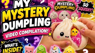 Mystery Dumpling Squishy Compilation! 😱🥟 What’s Inside?! #Shorts #Dumpling