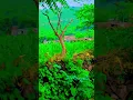 Download Lagu kailash gujjar #hindisong ❣️❣️