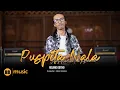 Download Lagu RISANG GOTHO - PUSPITA NALA (OFFICIAL LIVE SESSION)