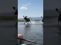 Such a CLOSE call