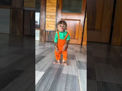 Cute Baby Meets Robot Dogs! 🤖🐶😂 | Funniest Little Adventure