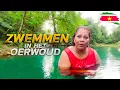 Download Lagu Surinaamse Vrouw Zwemt in het Oerwoud van Paramaribo | Jungle Avontuur \u0026 Nachtelijke BBQ