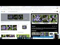 Machine Learning Lab - Program 9 k-Nearest Neighbour algorithm to classify the iris data set