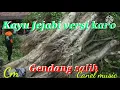 Download Lagu Kayu jejabi versi karo