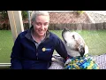 Northshore Pet Resort Virtual Tour