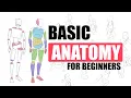 Download Lagu The First, EASY Step To Draw Bodies (For Beginners)