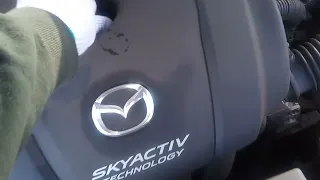                  دندنها