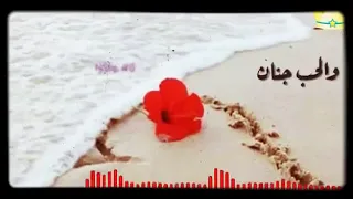 بحبك ياولفي بحبك ولحب جنان نعيم الشيخ حالات وتس اب حب 