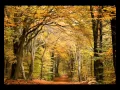 Download Lagu LUZ AMOR Y VIDA, CARLOS SANTANA.wmv
