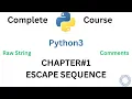 4 - Escape Sequence Comments Raw String
