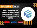 NumPy Array Manipulation ULTIMATE Guide 2025 Master copy view flatten ravel sort