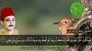 صوت خاشع مؤثر جدا   الشيخ شكري البرعي   و ت ف ق  د  الط  ي ر  دندنها