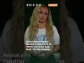 Animal activist Hayden Panettiere filmed PETA ad weeks before her tragic death See the
