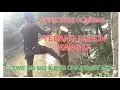 TEBANG POHON NANGKA - SPIKE TREE CLIMBING