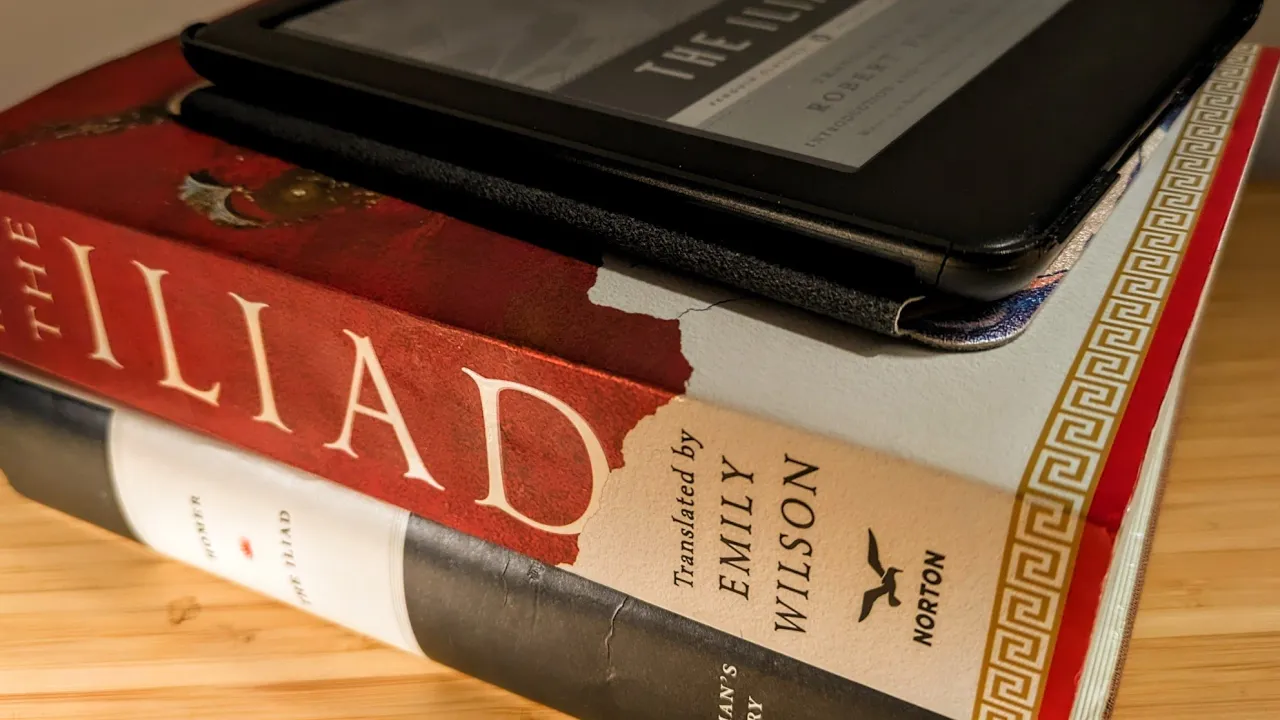 The Iliad: a long, Homeric ramble