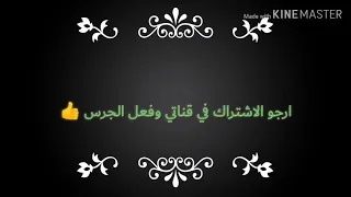 خربانة انتي خربانة حمو بيكا نور التوت على قدره حسن شاكوش دندنها