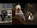 Download Lagu Scary Tiktok Videos EP. 114 | 2024