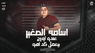 مولد الدوشة   اسامة الصغير عندو اورج بيعمل كدة اهو   عازف اورج اسامة الصغير   اداء صوتى بسلة        دندنها