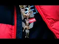 Download Lagu ECKO, La Liga - Yo Tengo Un Ángel (Video Oficial)
