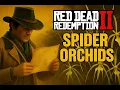 Red Dead Redemption 2 - Spider Orchids All Locations Exotics Request 4
