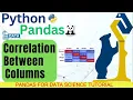 Python Pandas Tutorial What is Correlation Correlation Matrix and Plot in Python