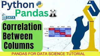 Python Pandas Tutorial What is Correlation Correlation Matrix and Plot in Python