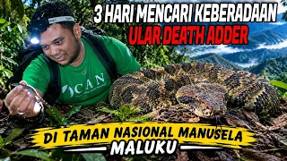 3 HARI 2 MALAM BERBURU ULAR DEATH ADDER !! PANJI PETUALANG JELAJAHI T.N MANUSELA  #part2