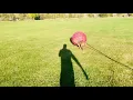 Awakening Kennels On PuppyFinder com - 2