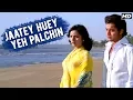 Download Lagu Jaate Huye Yeh Pal Chin Video Song | Ankhiyon Ke Jharokhon Se | Ravindra Jain