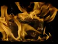 Download Lagu Acid Arab feat. EDIS - Yaktın Beni (Visualizer)