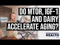 Do mTOR, IGF 1 and dairy accelerate aging?