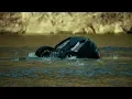 Download Lagu Transporter 3-When Your Car Swim Like a Fish